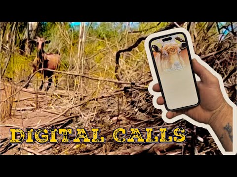 Digital calls , New gear, Pilliga winter shutdown 