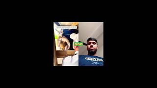 Download lagu 😱😱nice video 2026, Ashik Iqbal #animals #zoo #shortfeed #shorts mp3 Download lagu 😱😱nice video 2026, Ashik Iqbal #animals #zoo #shortfeed #shorts mp3