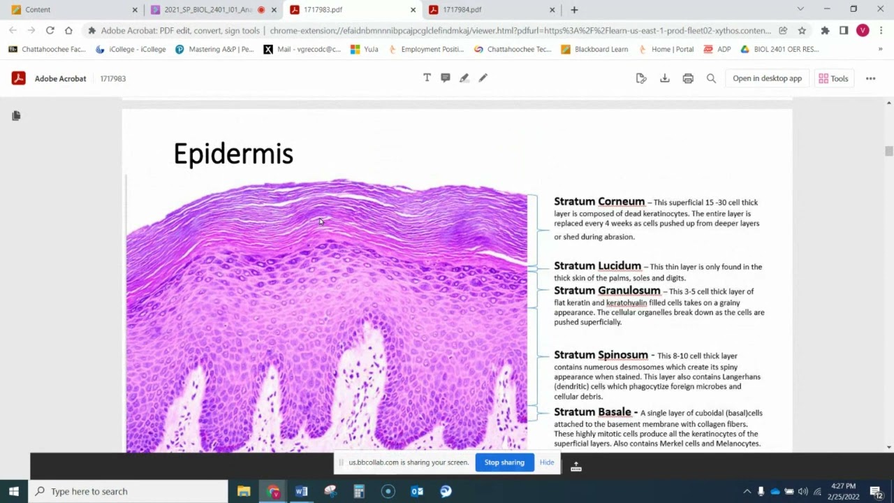 Lecture Module 2 Overview