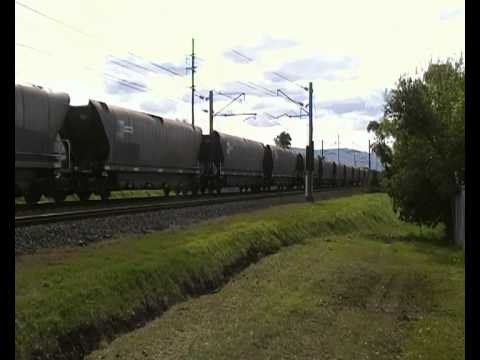 G513/C503/44206/44204