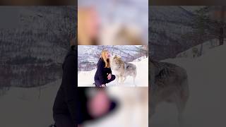 This Wolf’s Affectionate Kiss Will Melt Your Heart!