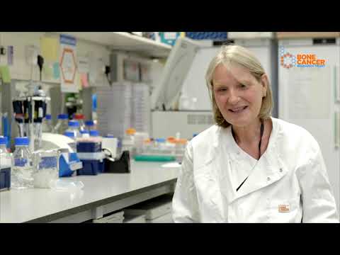 Interview with Professor Sibylle Mittnacht