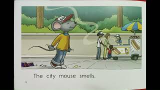 Leveled Book. B Mouse in the City