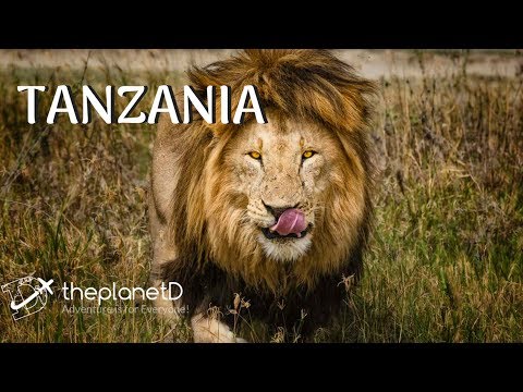 download lagu mp3 mp4 Best Of Tanzania, download lagu Best Of Tanzania gratis, unduh video klip Best Of Tanzania