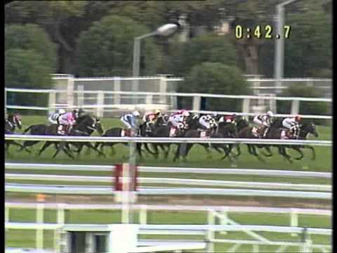 1994 Doncaster Handicap