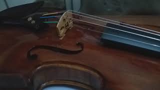 Video thumbnail for VIOLINO EAGLE VK544 - LUTHIER DE VIOLINO by atelier kamroyan