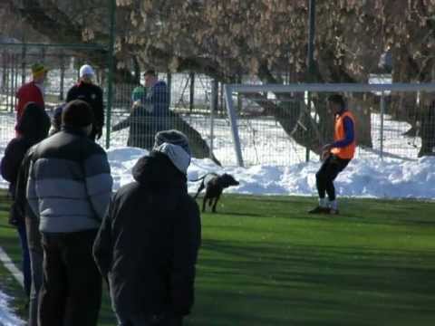 Drukarz KP Piaseczno Nieoczekiwany gość na meczu