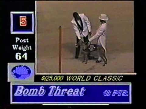 1997 World Classic at Hollywood Florida Greyhound Track