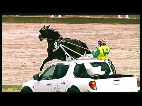 Trotto 16/10/2020 - 2ª corsa