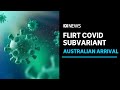 New FLiRT family of COVID subvariants arrives in Australia | ABC News