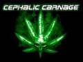 Cephalic Carnage - kill for weed