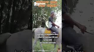 Download lagu KANDANG KUDA JOKO TINGKIR TEMBORO #shorts #shortvideo #video #pendek #kandang #kuda #jokotingkir mp3 Download lagu KANDANG KUDA JOKO TINGKIR TEMBORO #shorts #shortvideo #video #pendek #kandang #kuda #jokotingkir mp3