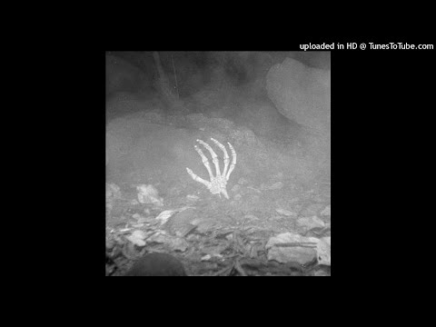 crowlyyy - DEMONINMYBEAK W/ CHRIST DILLINGER [PROD. CROWLYYY]