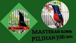 Download lagu Masteran konin paling ampuh  isian ciblek kenari cililin belalang emas mp3