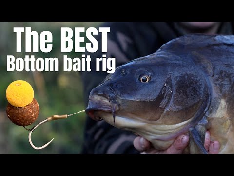 CARP FISHING - THE BEST BOTTOM BAIT RIG!!??👀🧐