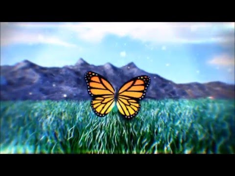 PORTAMI VIA -SENZA LEGGE BAnd