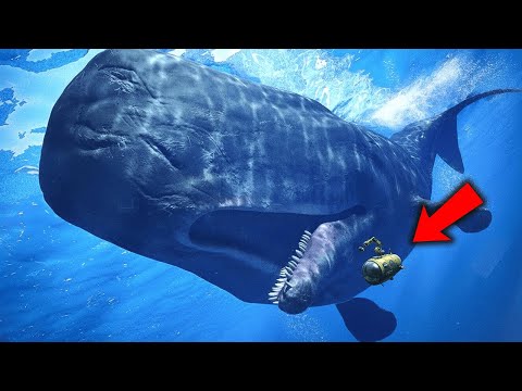 Scientists Just Found a Sea Monster That Makes Megalodon Look Tiny 😱