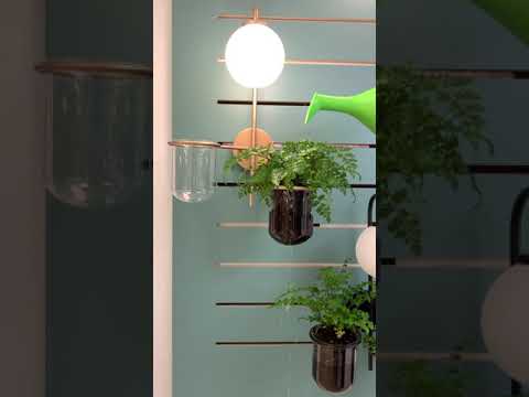 Миниатюра изображения товара Светильник Odeon Light Flower 4681/2WA