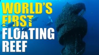 Scuba Diving The WORLD'S First FLOATING REEF!! - Wonder Reef 🇦🇺