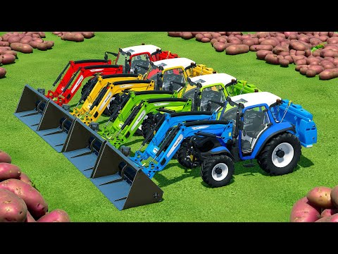 HARVESTING AND LOAD POTATOES WITH LINDNER TRACTORS - Farming Simulator 22