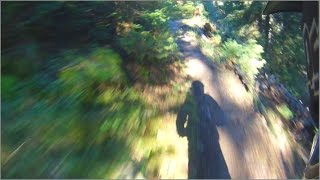 This is about the lower 1/3 of the trail in this video.