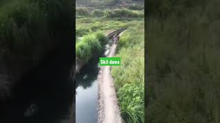 Download lagu Viral || Pengendara motor lewat jalan sempit #shorts mp3