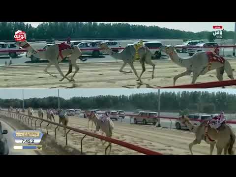 ش 2 سيف حول انتاج (اعلان) حمد محمد سهيل العامري 12:20:35 ، ختامي المرموم 2026/4/1 