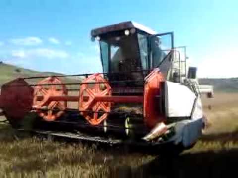 treierat grau 2015 cu Class Dominator 68 s Tisa Silvestri Bacau