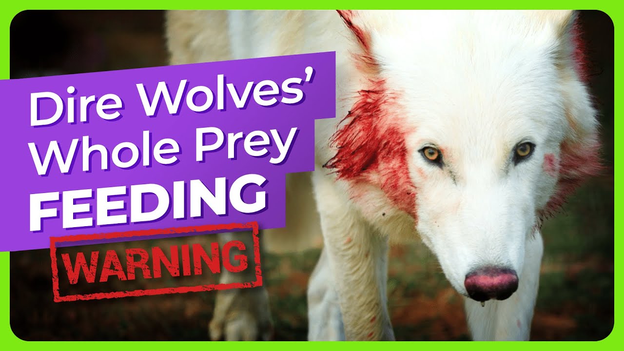 ��������� ����� �� ����� - ��� ������ ����