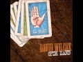 David Wilcox - Open Hand - How Long