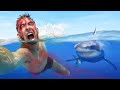 I Swam With Sharks Covered In Blood