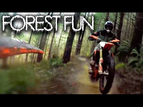 Forest Fun / KTM 450 XC / @motogeo Adventures