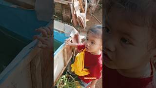 Download lagu Melihat Anak Ikan Mujair Kumpay Lucu Viral #anakanak #viralvideo #shorts mp3