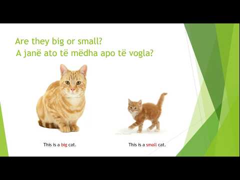 Klasa I - Size Big/Small - Madhesia e madhe/e vogel ne Gjuhen Angleze