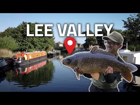 River Carp Fishing - Lee Valley