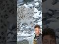 The Snow Leopard is INSANE