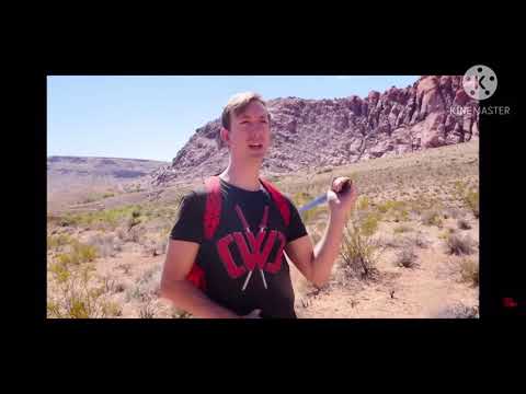 Spy ninjas music video