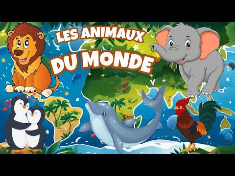 LES ANIMAUX DU MONDE |Chanson pour toute la famille |Chanson éducative |Chanson sur animaux