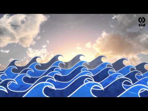 Wave Wanda S�� Amp Roberto Menescal Lyric Video