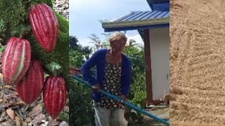 BOHOL VLOG MAMA LORING'S VIDEO HER DAILY EXERCISE MAG ALAGA NG MGA TANIM SA PALIGID ❤️🇵🇭