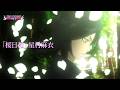 期間限定 TVアニメ BLEACH ED映像 桜日和 星村麻衣