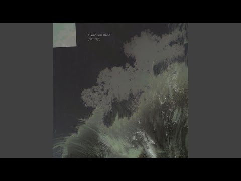 A Wooden Bone (Slowly)