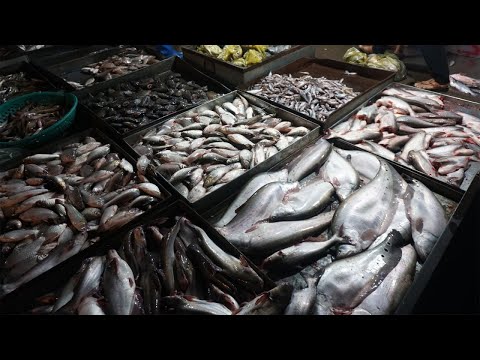 Early Morning Activities Vendor @PrekPhnov Bridge - Site Selling Fish, SeaFood & More in Fish Market