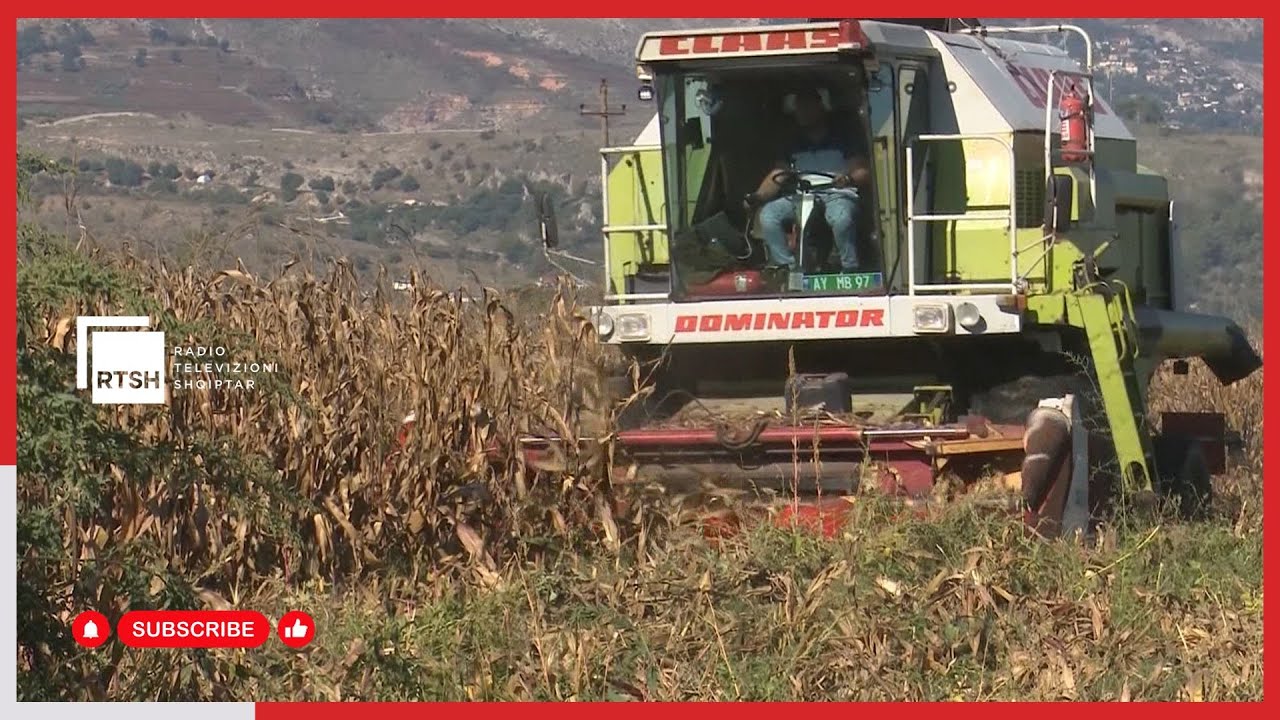 Nis korrja e misrit në Lazarat – Në tokat e fermerit Nedin Proko, ku puna nuk ndalet kurrë