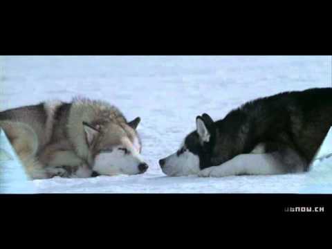 Gregorian - Moment of Peace vs. Antarktika.wmv