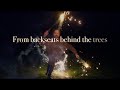 From Debris (acoustic / lyrics)
