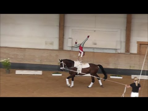 Bayerische Vizemeisterin  Einzelvoltigieren   2022 - Anja Traub