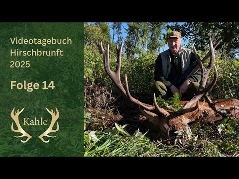 Kapitaler Hirsch am letzten Tag erlegt! Hirschbrunft in Masuren / Polen | Tag 14