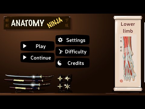 Anatomy Ninja Lower Limb Video