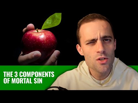 When is a Sin a MORTAL SIN? w/ Fr. Gregory Pine, OP